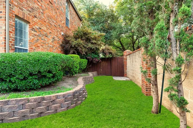 a view of a backyard with plants and large tree