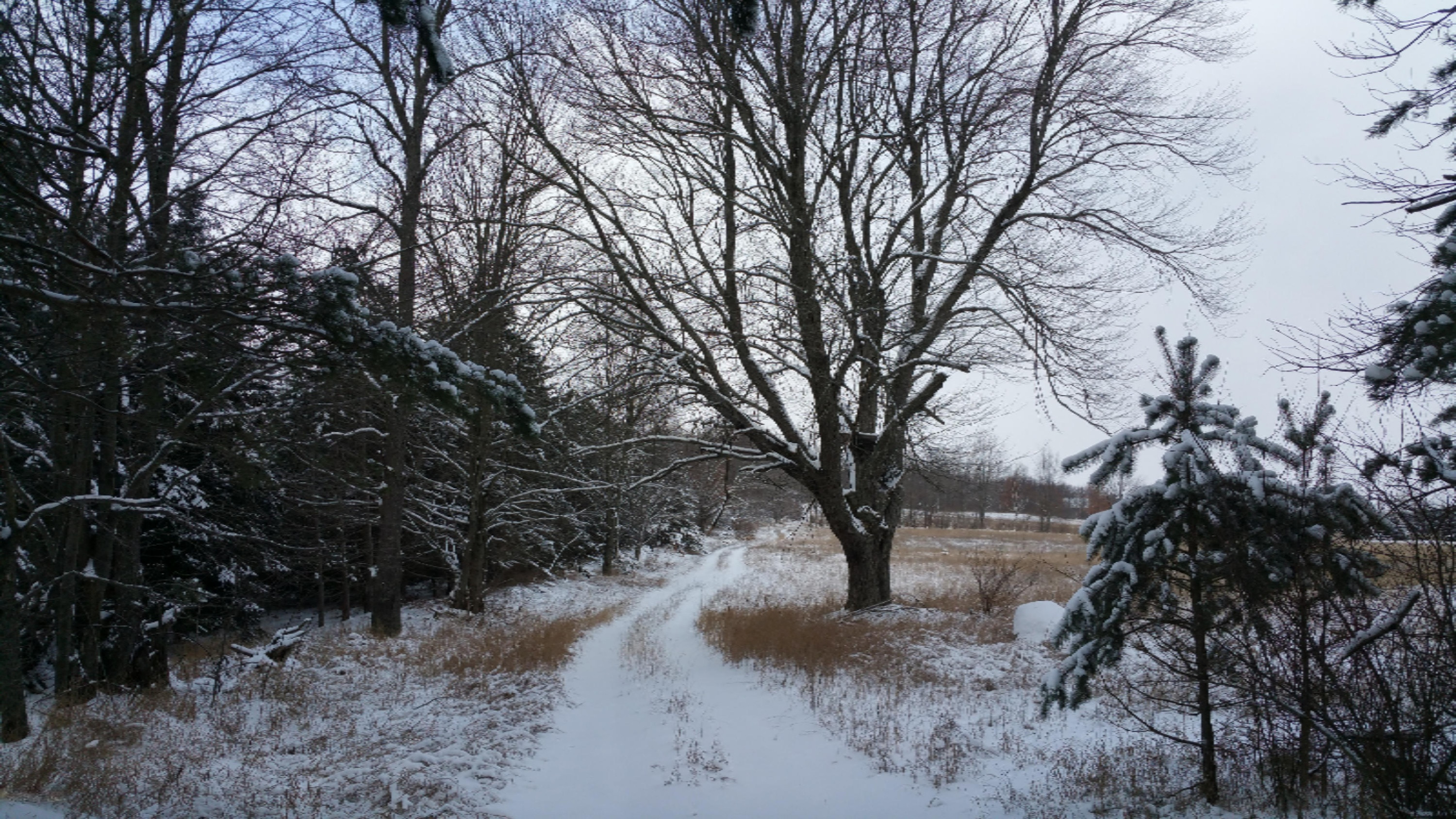 5755 Edgar Road Vestaburg, MI 48891 - Photo 1 of 8 20150107_120302