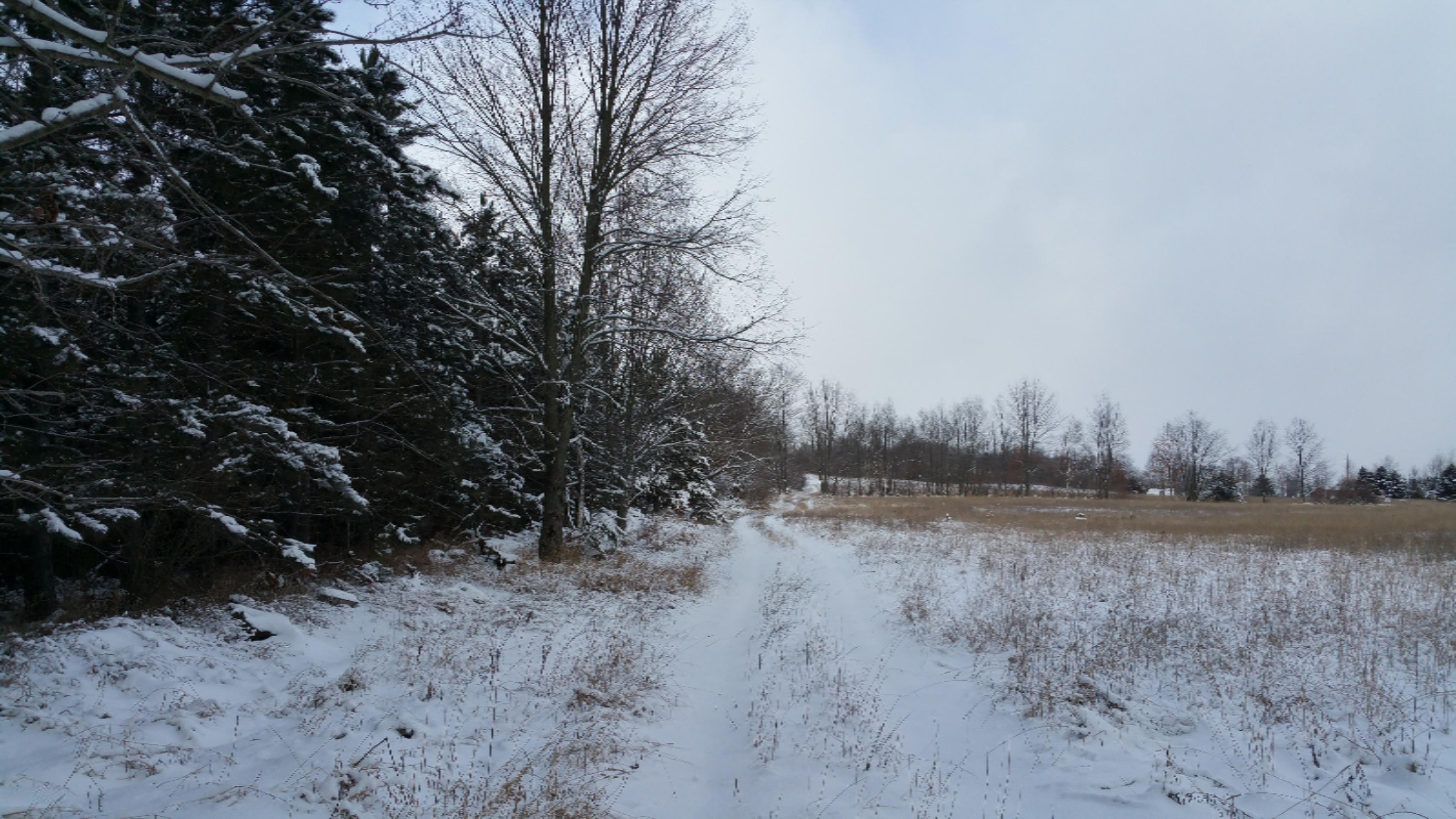 5755 Edgar Road Vestaburg, MI 48891 - Photo 2 of 8 20150107_120333