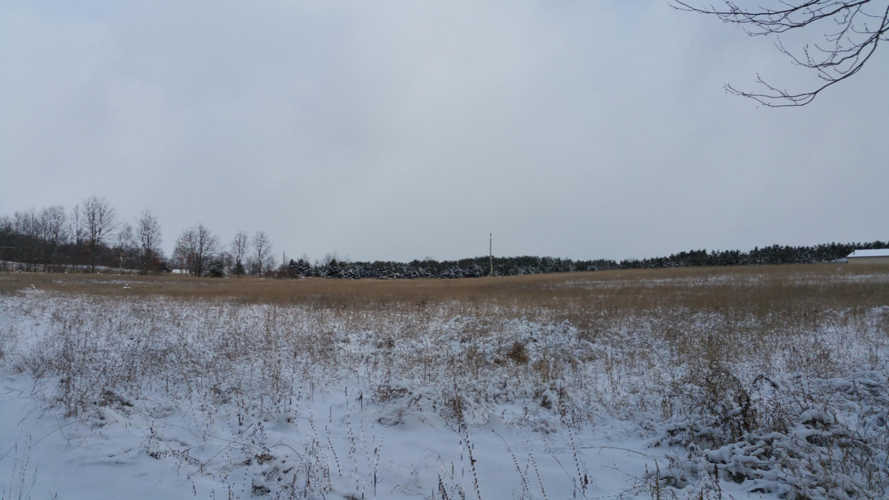 5755 Edgar Road Vestaburg, MI 48891 - Photo 3 of 8 20150107_120336