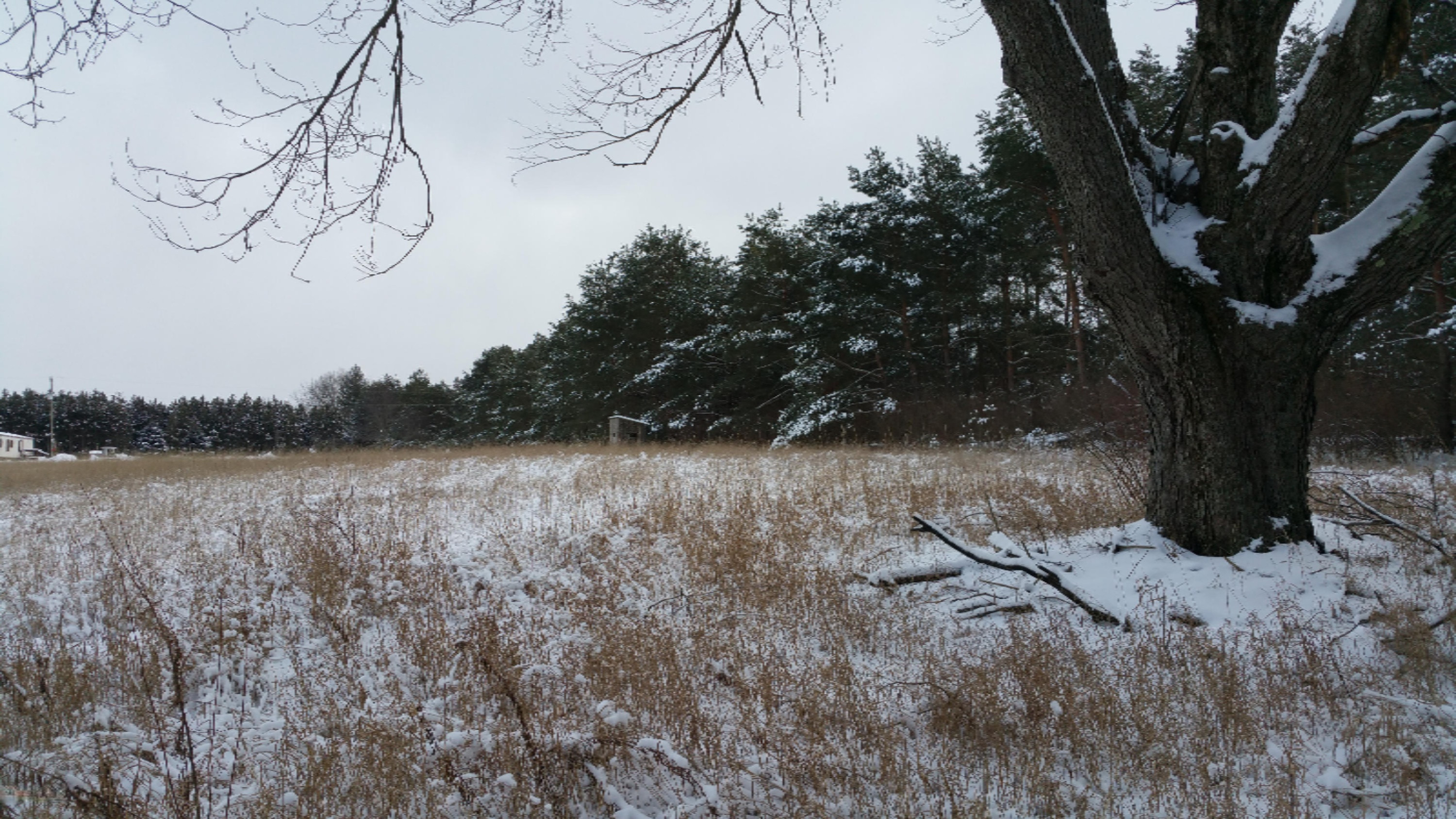 5755 Edgar Road Vestaburg, MI 48891 - Photo 4 of 8 20150107_120342
