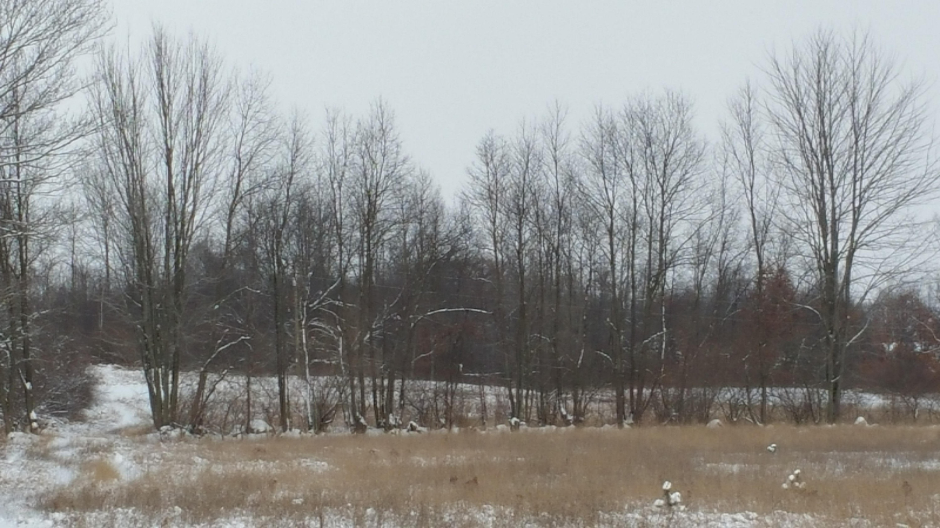 5755 Edgar Road Vestaburg, MI 48891 - Photo 6 of 8 20150107_120404