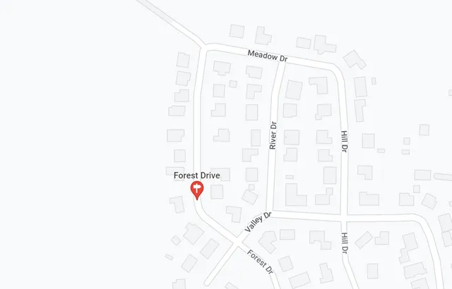 $9,500 | 0 Cr 360 Moss Forest Drive, Splendora, TX 77372