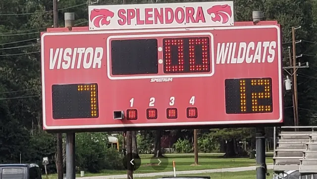 $9,500 | 0 Cr 360 Moss Forest Drive, Splendora, TX 77372