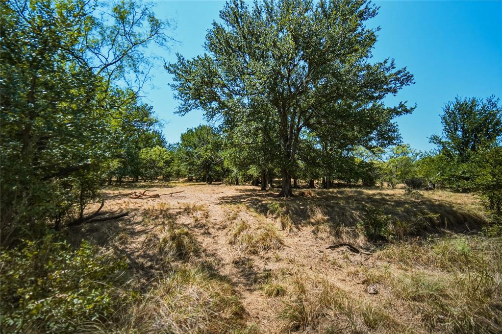 480-acres Tucker Road Perrin, TX 76486 - Photo 29 of 40 Gallery Image 29