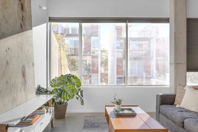 a living room with furniture and a potted plant