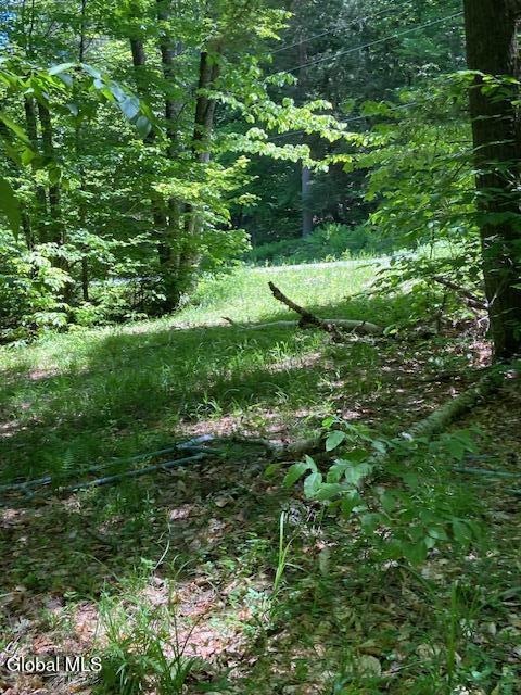 55 Fodder Road Stony Creek, NY 12878 - Photo 9 of 13 Drive to road
