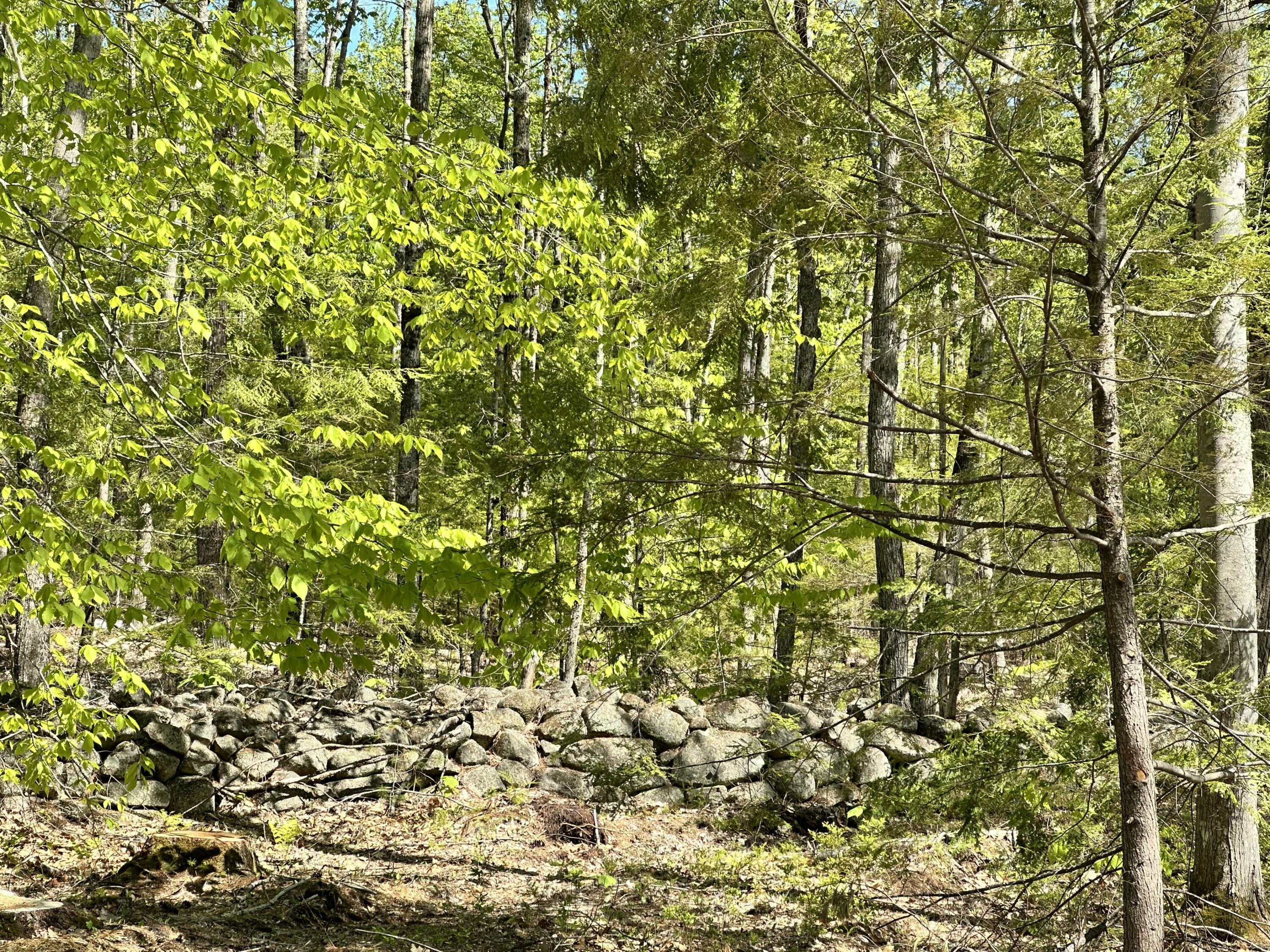 19 Grist Mill Road Naples, ME 04055 - Photo 19 of 31 Stone Wall on Right of Driveway