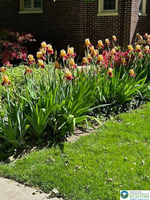 1808 Sycamore Street Bethlehem, PA 18017 - Photo 50 of 55 a bunch of flowers in a garden