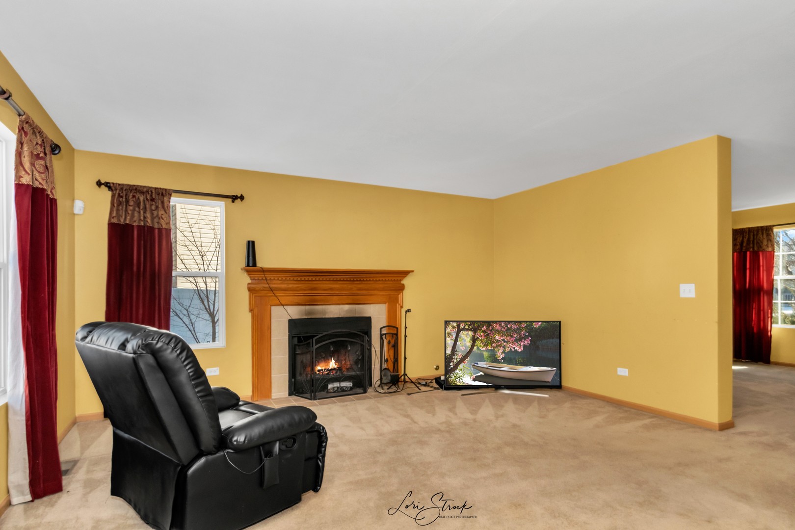 6419 Roth Drive Joliet, IL 60431 - Photo 6 of 13 a living room with furniture and a fireplace