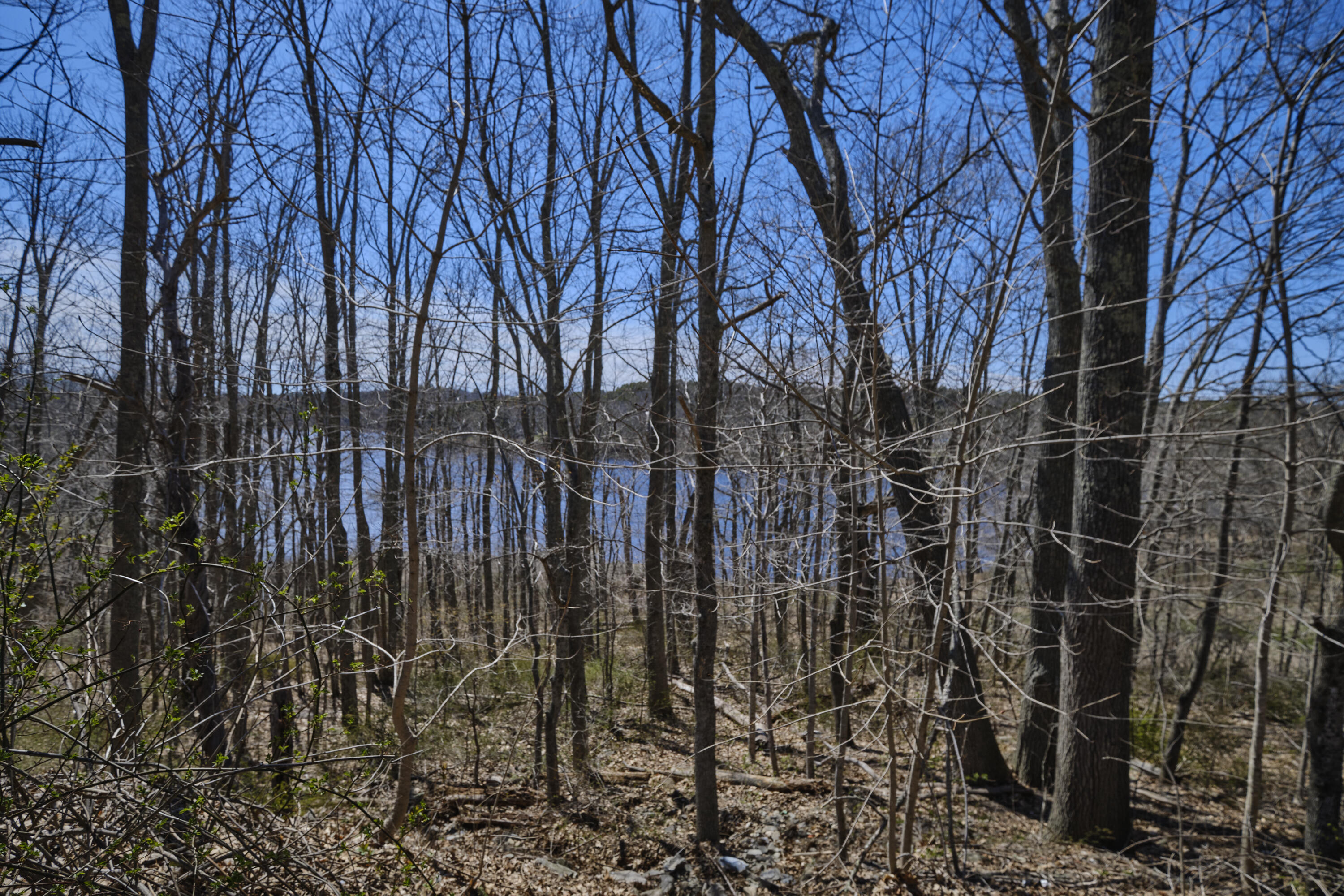129 Friendship Road Waldoboro, ME 04572 - Photo 14 of 35 31-129 Friendship Street-Waldoboro-JAC