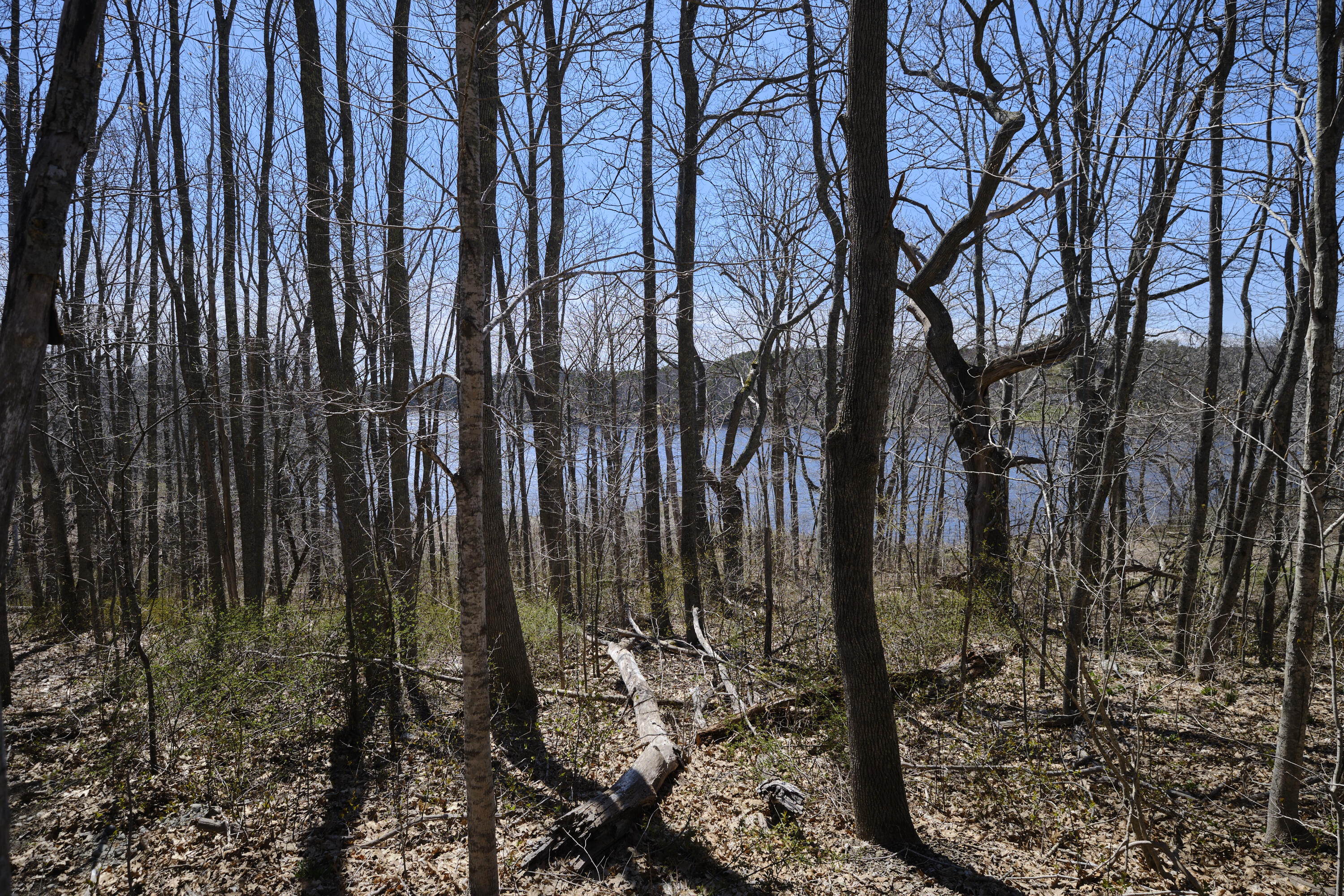 129 Friendship Road Waldoboro, ME 04572 - Photo 15 of 35 35-129 Friendship Street-Waldoboro-JAC