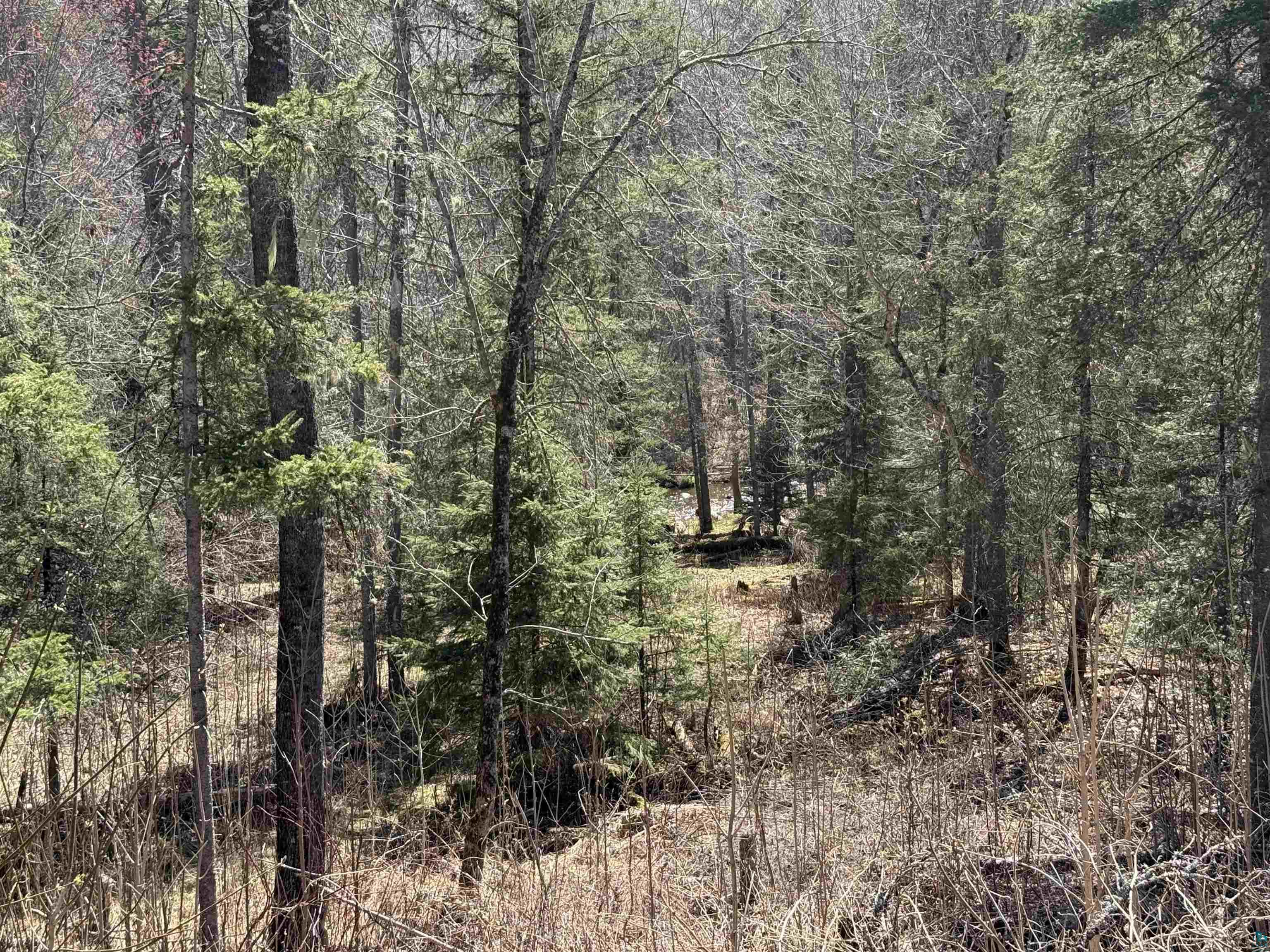 77410 Kaukamo Road Orienta, WI 54847 - Photo 21 of 22