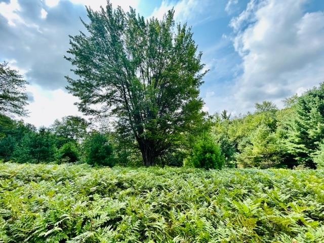 8559 Homestead Road Benzonia, MI 49616 - Photo 20 of 42
