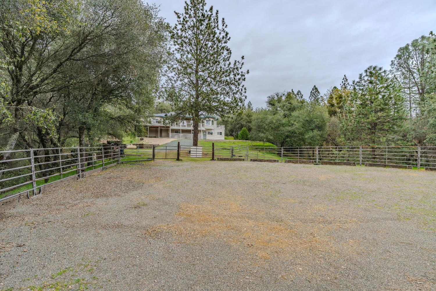 13901 Chestnut Lane Sutter Creek, CA 95685 - Photo 39 of 46 View to house from round pen