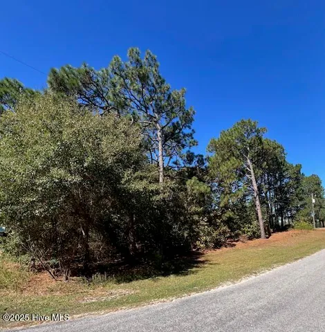 $24,900 | Tbd Cloud Avenue, Hamlet, NC 28345