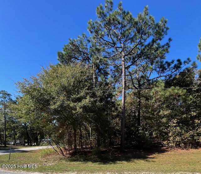 Tbd Cloud Avenue Hamlet, NC 28345 - Photo 2 of 4 Corner View