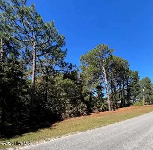 $24,900 | Tbd Cloud Avenue, Hamlet, NC 28345