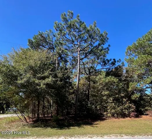 $24,900 | Tbd Cloud Avenue, Hamlet, NC 28345