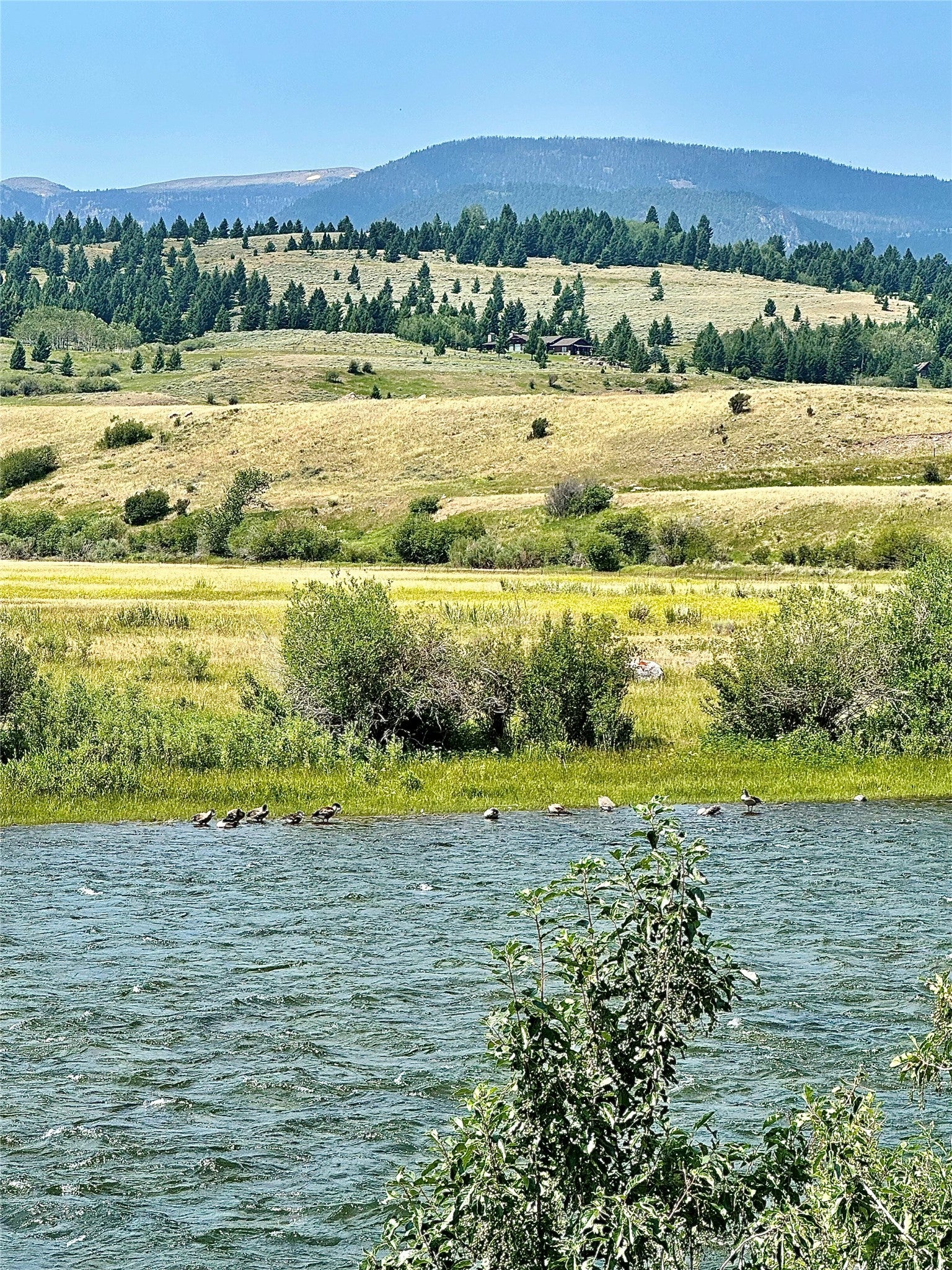 Lot 25 Sun West Ranch Cameron, MT 59720 - Photo 26 of 30 Gallery Image 26