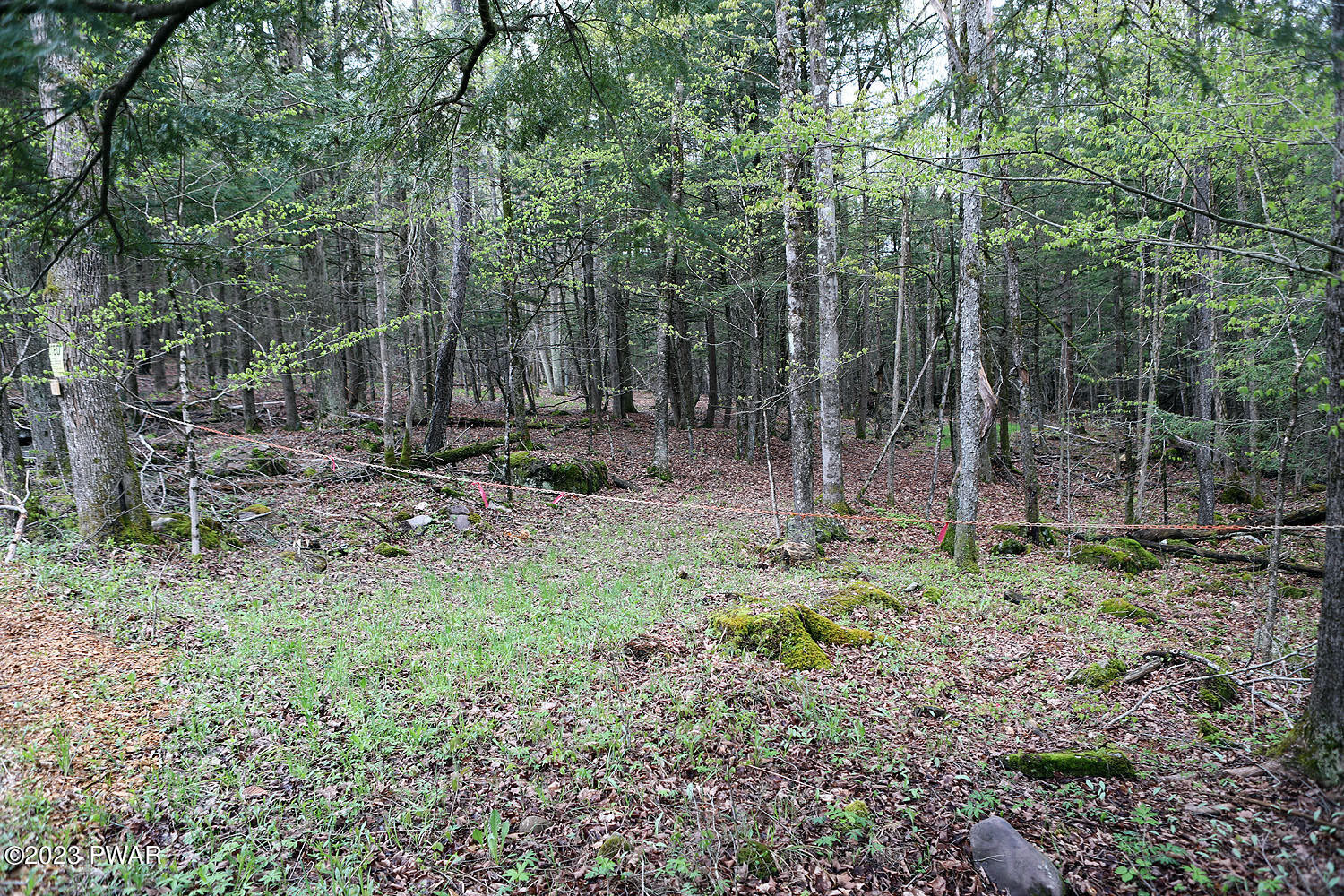 Lot E Spry Road Honesdale, PA 18431 - Photo 5 of 23