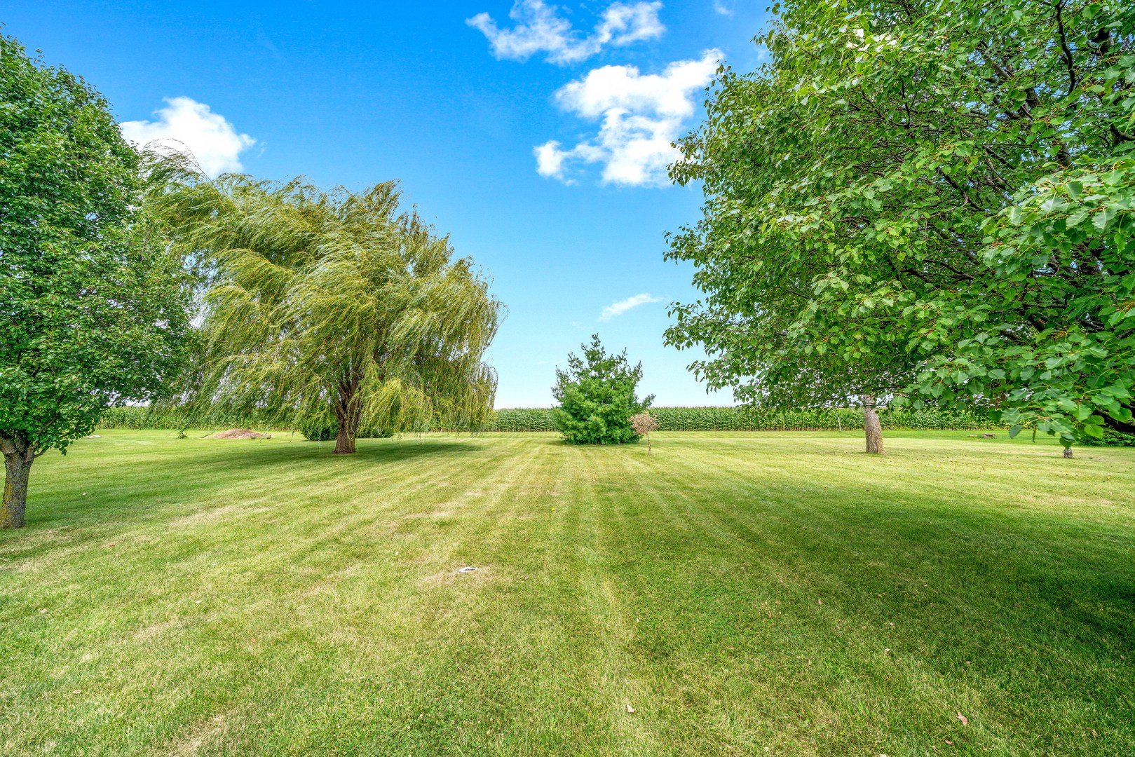 3970 East 2259th Road Serena, IL 60549 - Photo 29 of 39 a view of an outdoor space and a yard