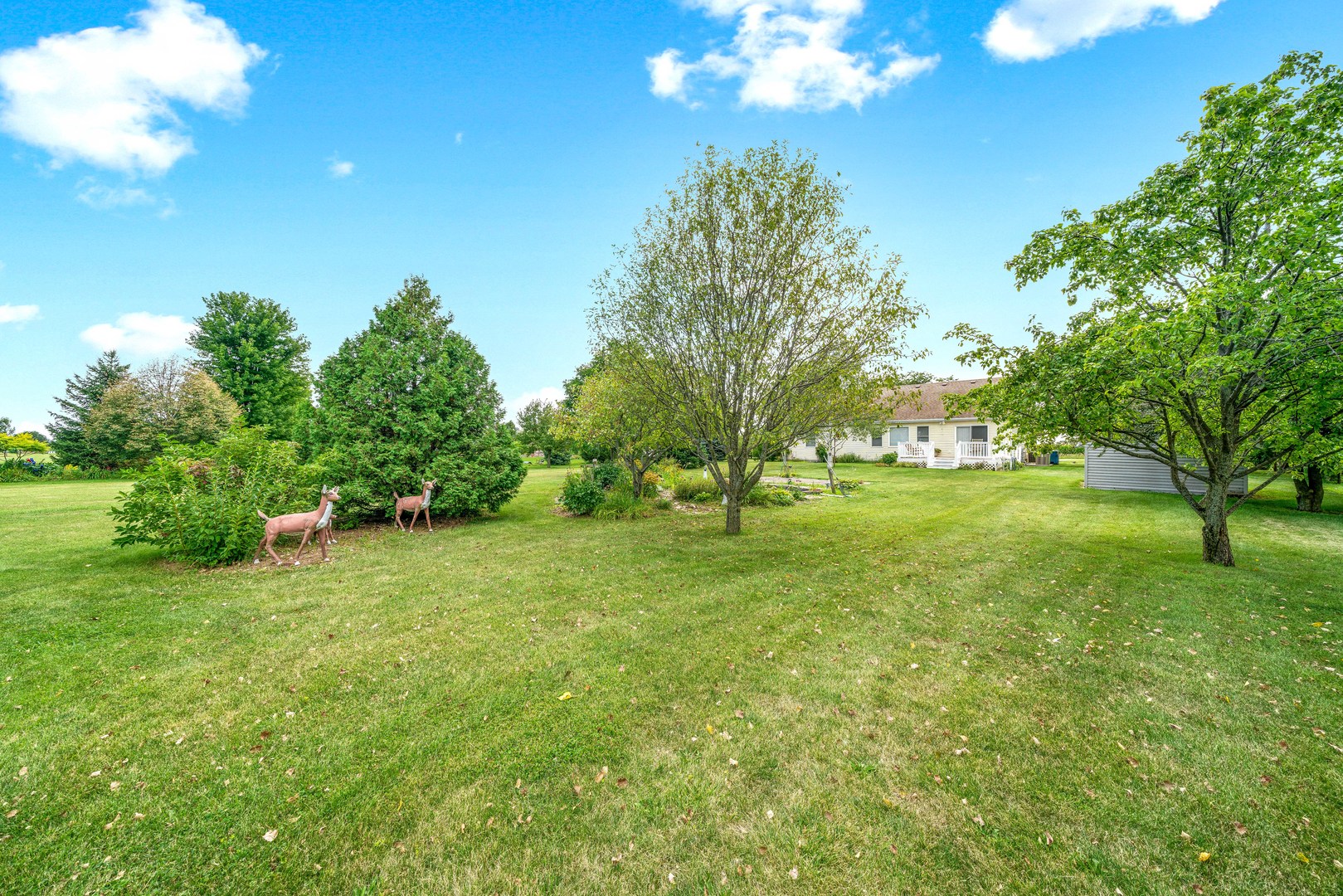 3970 East 2259th Road Serena, IL 60549 - Photo 30 of 39 a view of an outdoor space and yard