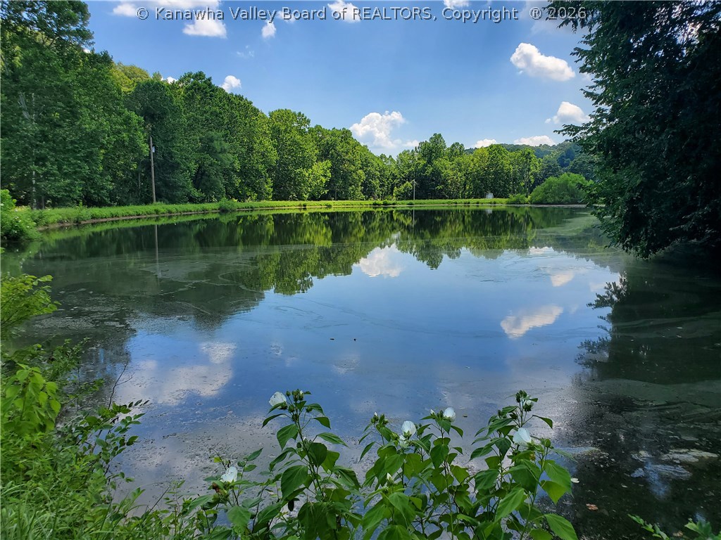 5153 Hartley Run Road Le Roy, WV 25252 - Photo 23 of 46 Gallery Image 23