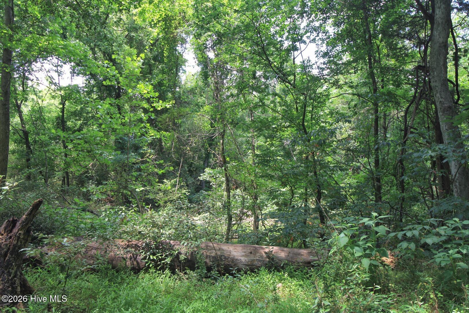 0 Laurel Rdg Road Durham, NC 27705 - Photo 36 of 36