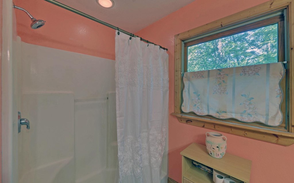 164 Dew Drop Lane Murphy, NC 28906 - Photo 21 of 49