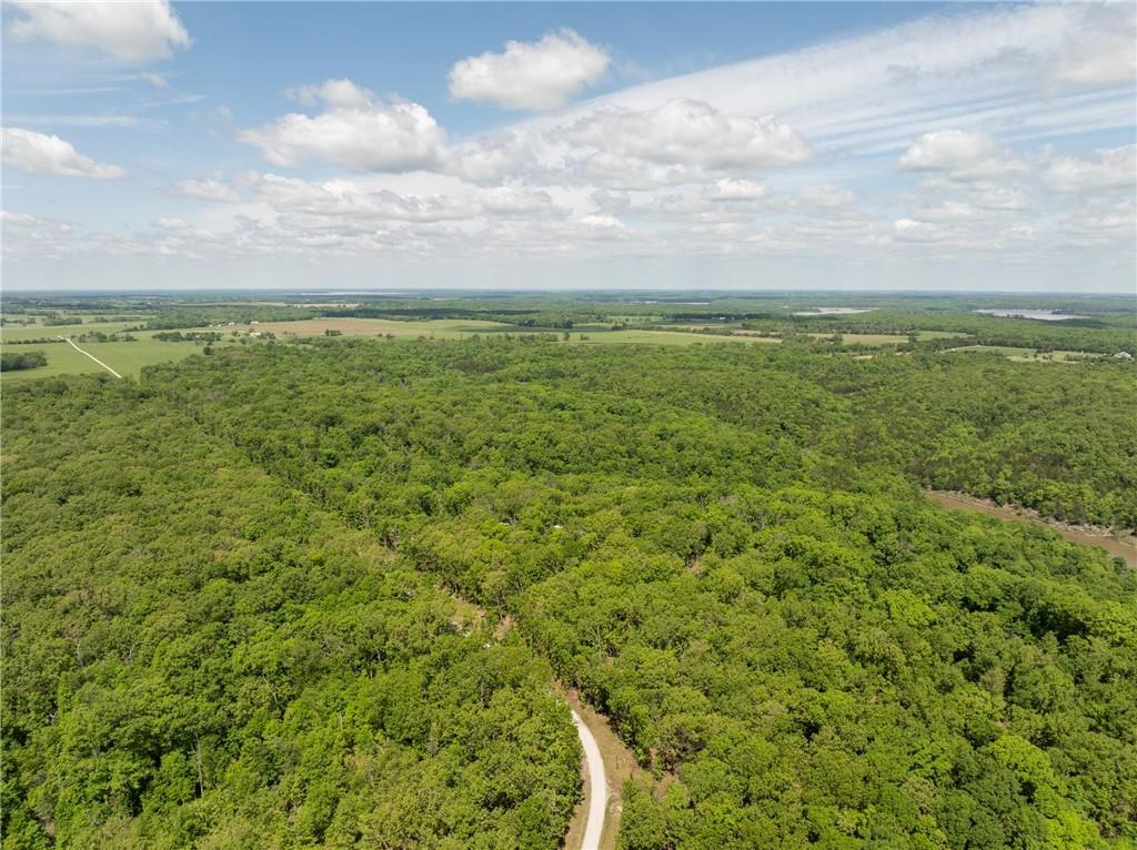 991 Southeast 976 Road Deepwater, MO 64740 - Photo 11 of 79