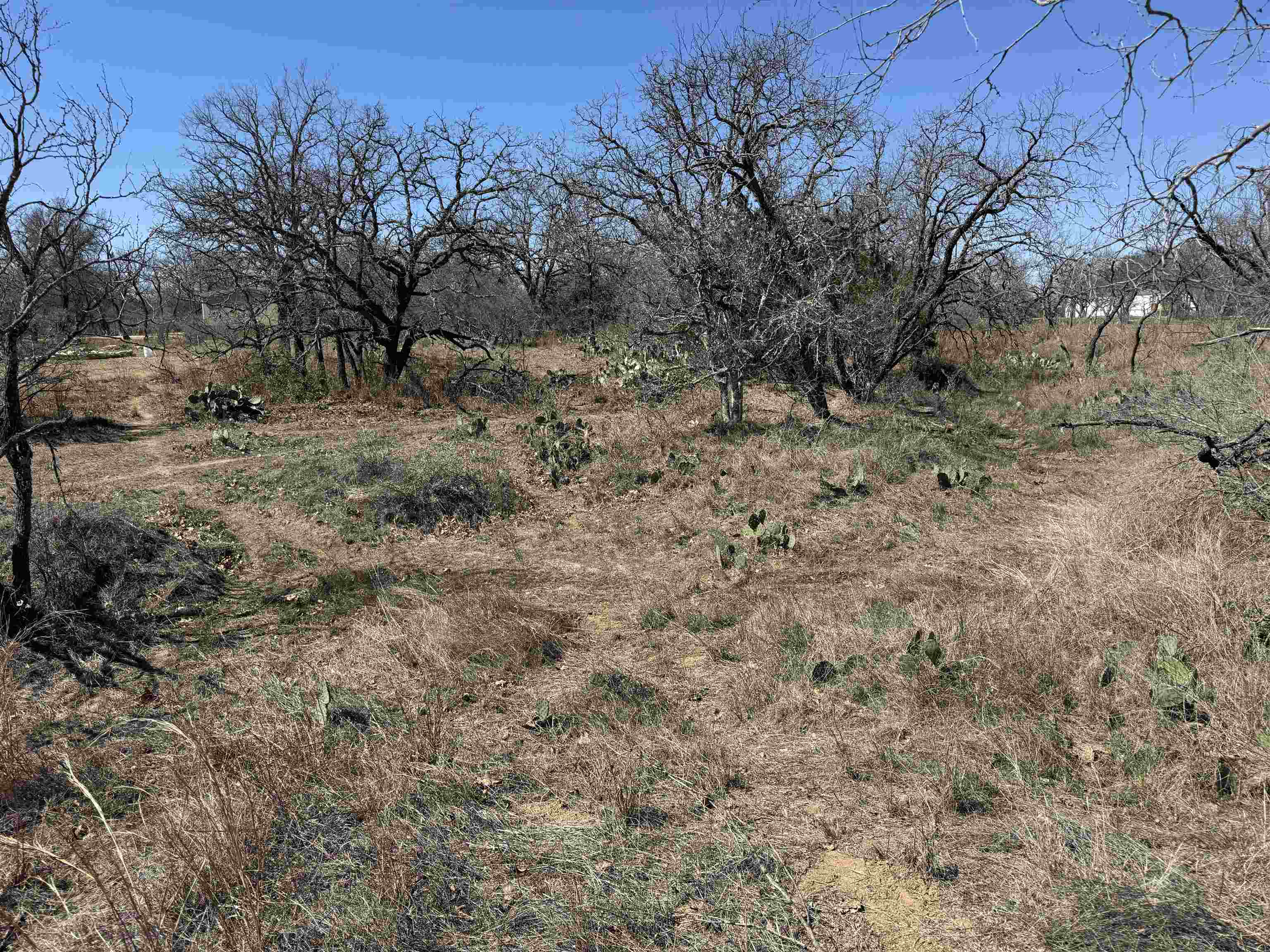Lot 102 Ridgemont Kingsland, TX 78639 - Photo 4 of 5 a view of a yard