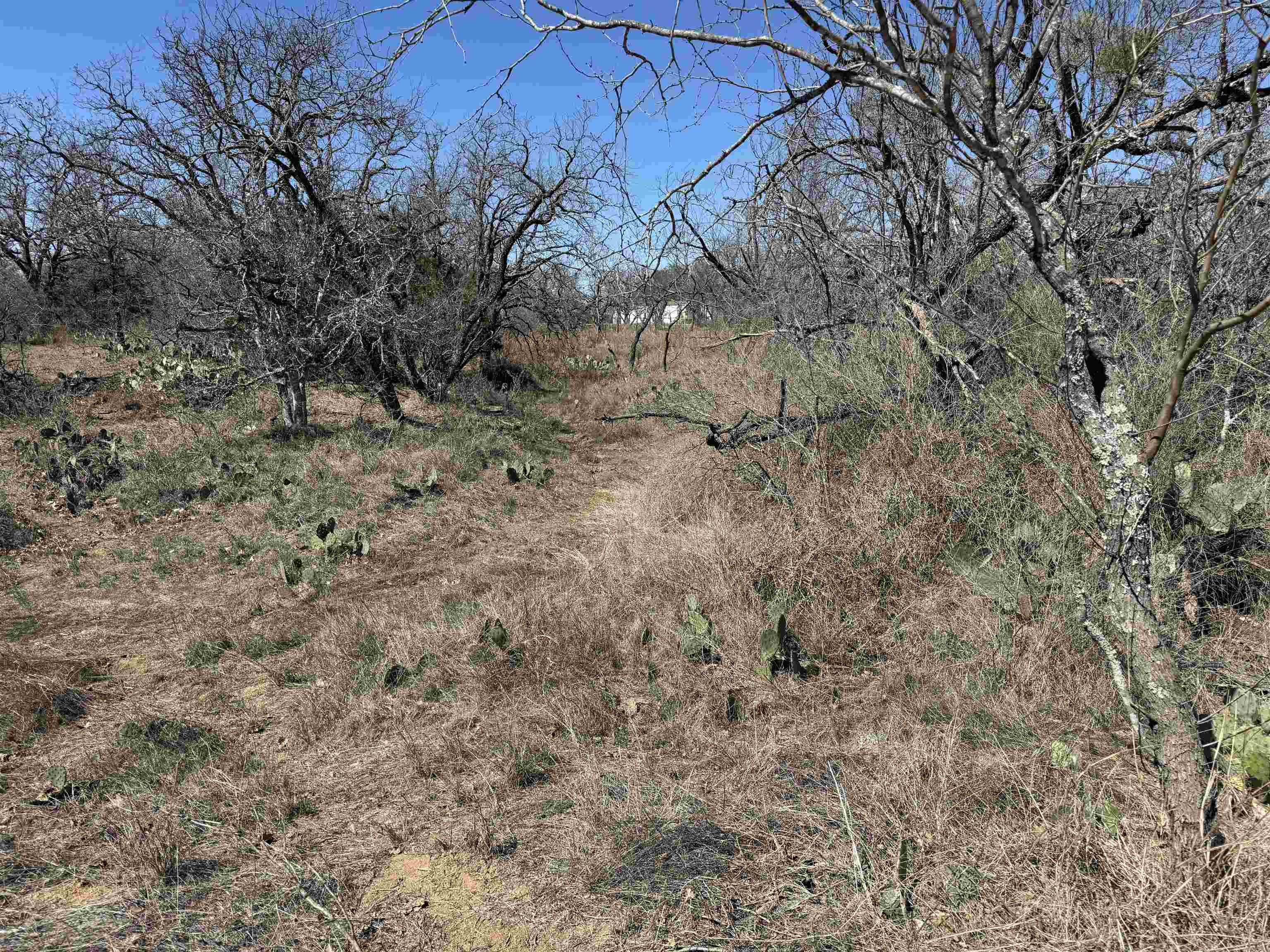 Lot 102 Ridgemont Kingsland, TX 78639 - Photo 5 of 5 a view of a yard