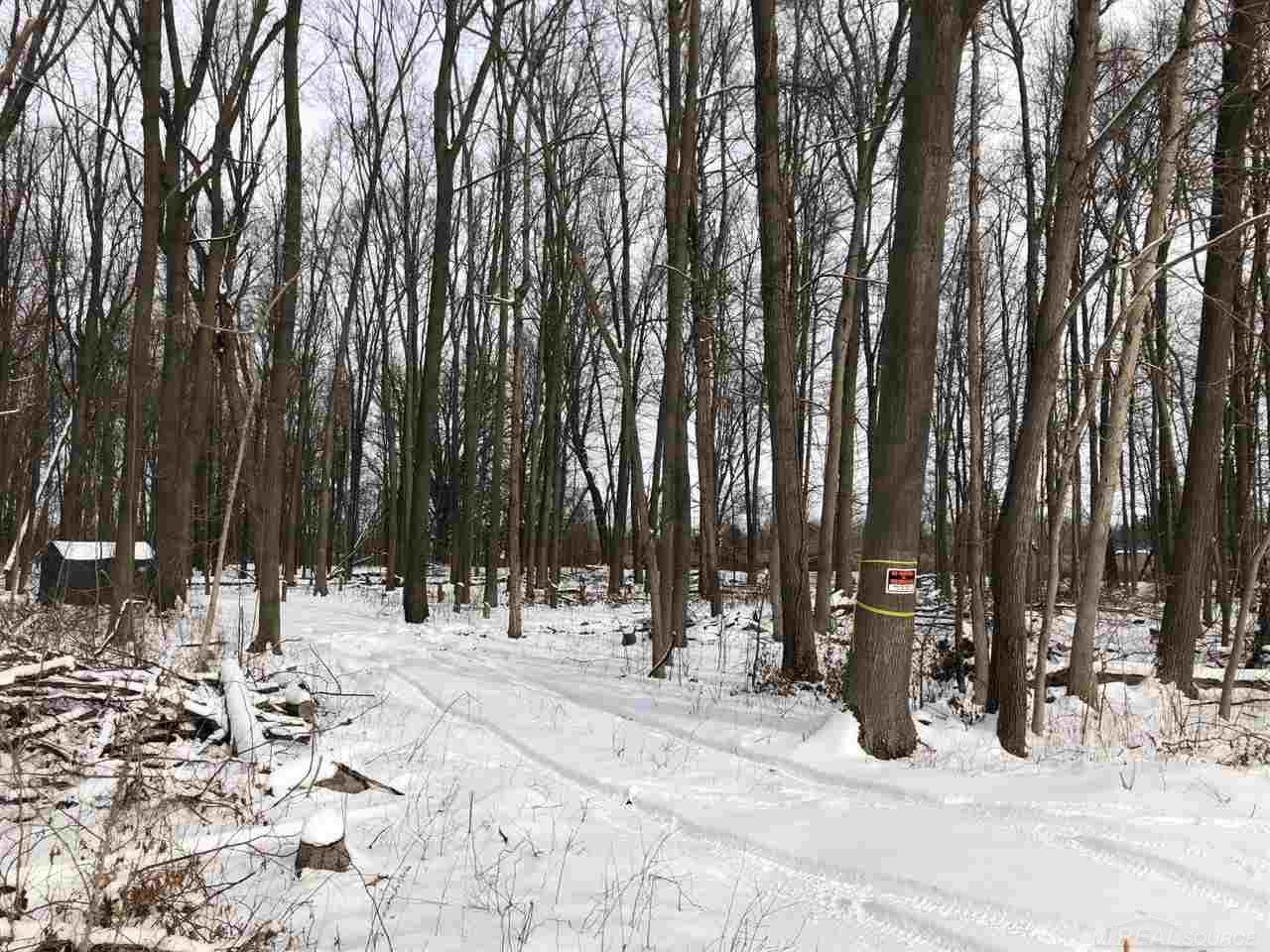 0 Bordman Road Allenton, MI 48002 - Photo 2 of 2