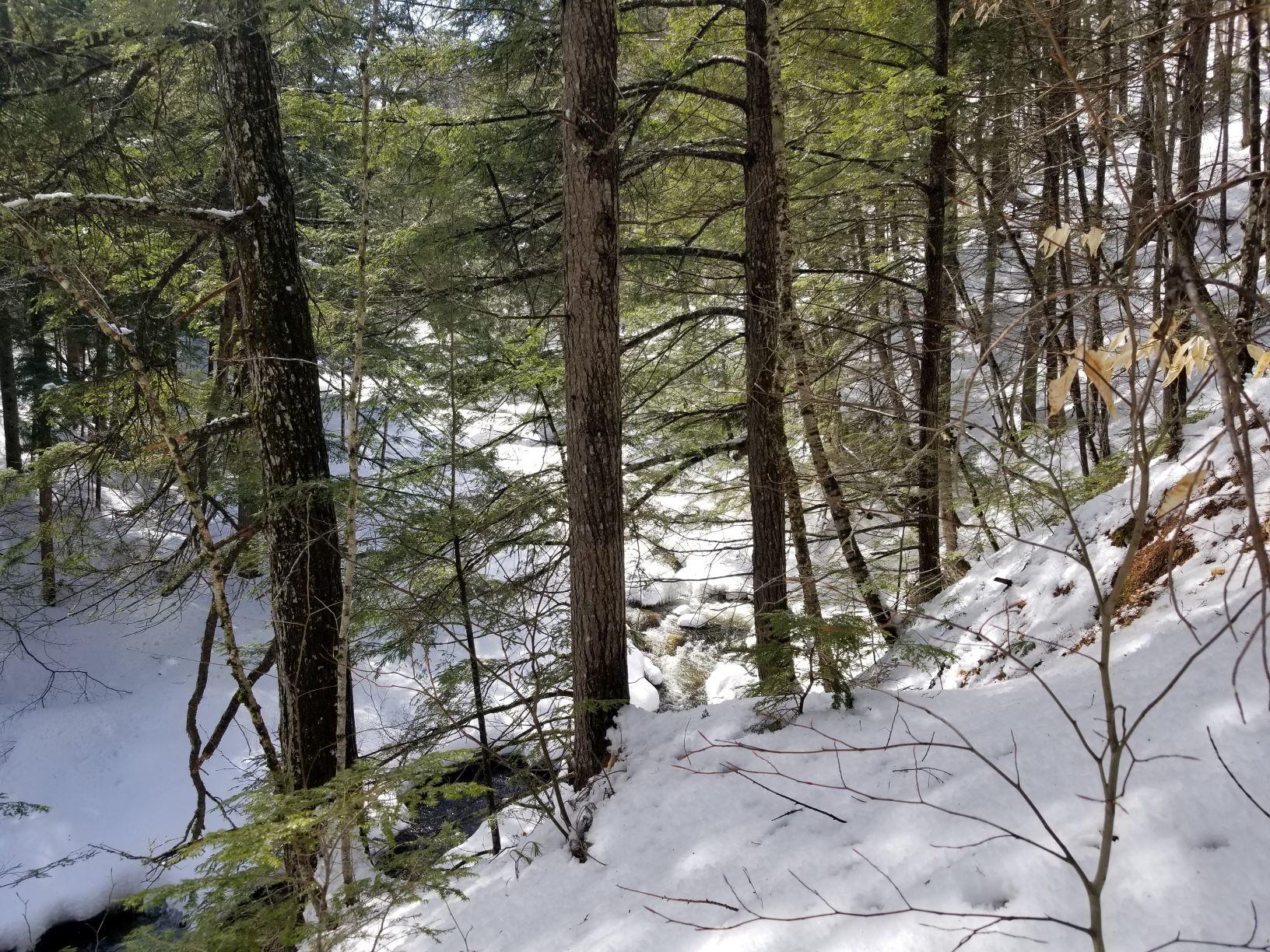 0 Rangeley Road Avon, ME 04966 - Photo 37 of 62 Mt Blue stream 6