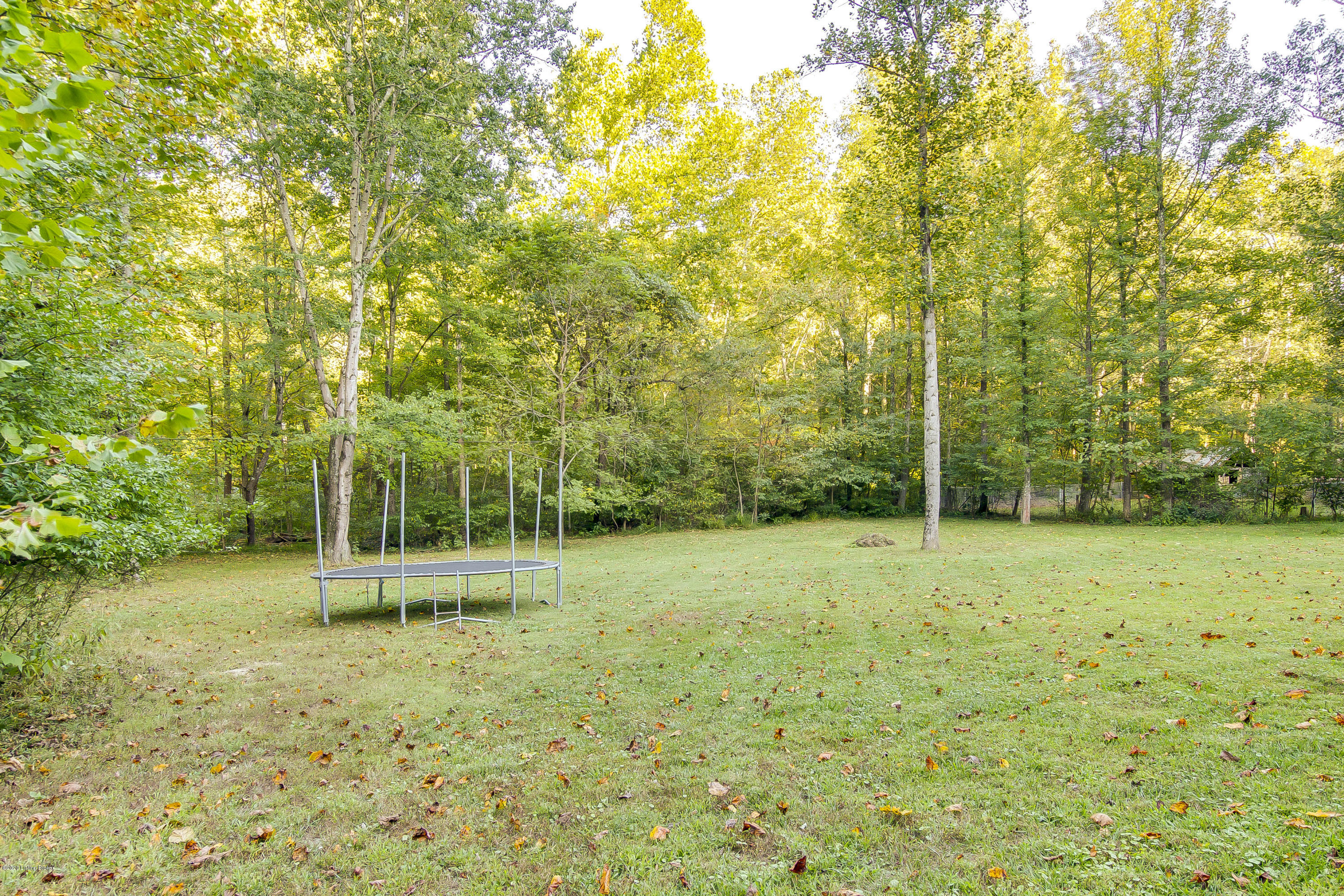 711 Hurst Road Brooks, KY 40109 - Photo 33 of 34 Yard