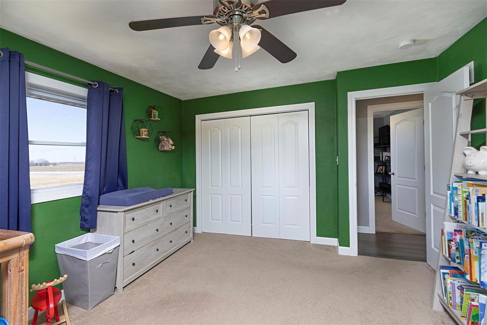 13162 Michael Road Highland, IL 62249 - Photo 29 of 52