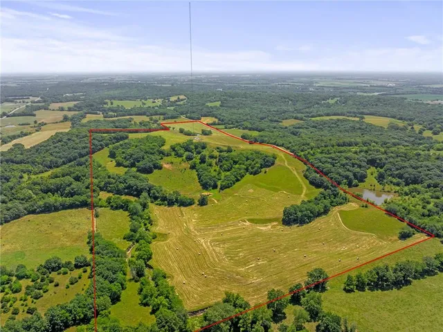 $750,000 | 81-ac Mt Hebron Road, Odessa, MO 64076