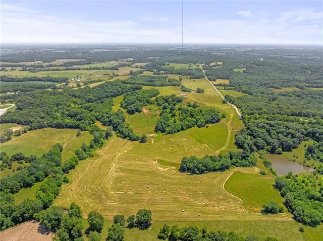 $750,000 | 81-ac Mt Hebron Road, Odessa, MO 64076