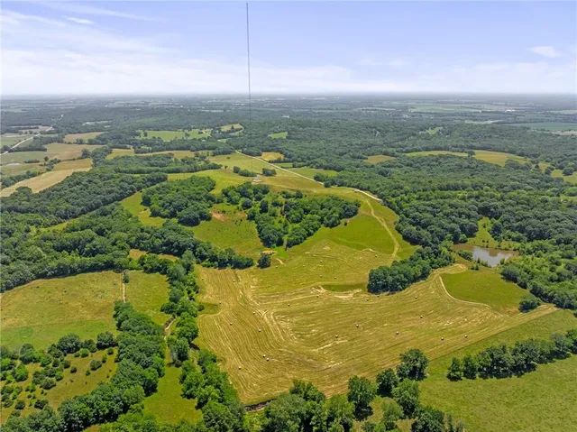 $750,000 | 81-ac Mt Hebron Road, Odessa, MO 64076