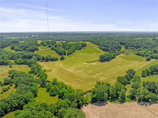 $750,000 | 81-ac Mt Hebron Road, Odessa, MO 64076