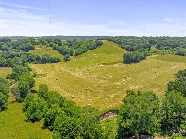 $750,000 | 81-ac Mt Hebron Road, Odessa, MO 64076