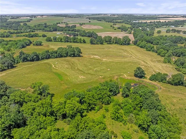 $750,000 | 81-ac Mt Hebron Road, Odessa, MO 64076