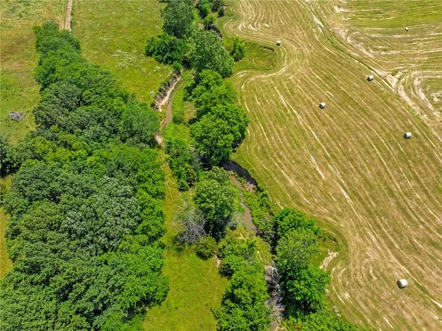 $750,000 | 81-ac Mt Hebron Road, Odessa, MO 64076