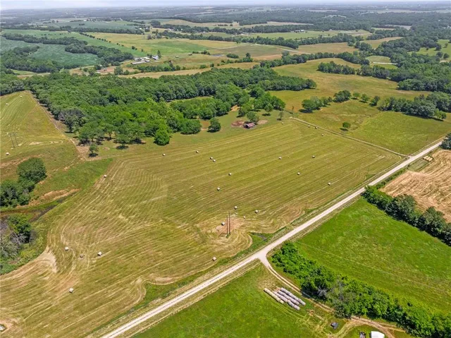 $750,000 | 81-ac Mt Hebron Road, Odessa, MO 64076