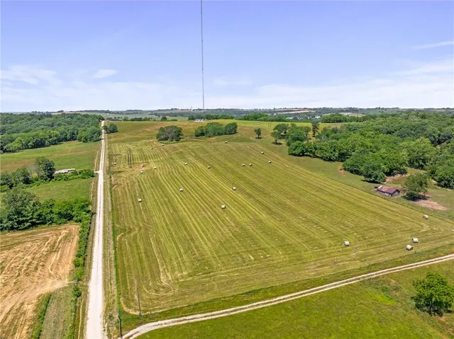 $750,000 | 81-ac Mt Hebron Road, Odessa, MO 64076