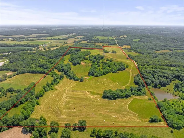 $750,000 | 81-ac Mt Hebron Road, Odessa, MO 64076