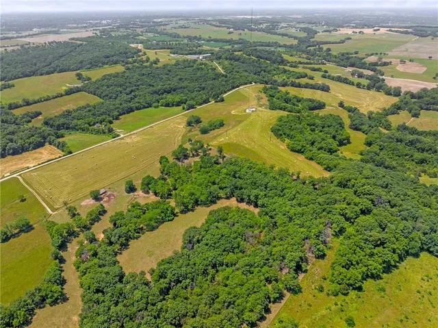 $750,000 | 81-ac Mt Hebron Road, Odessa, MO 64076