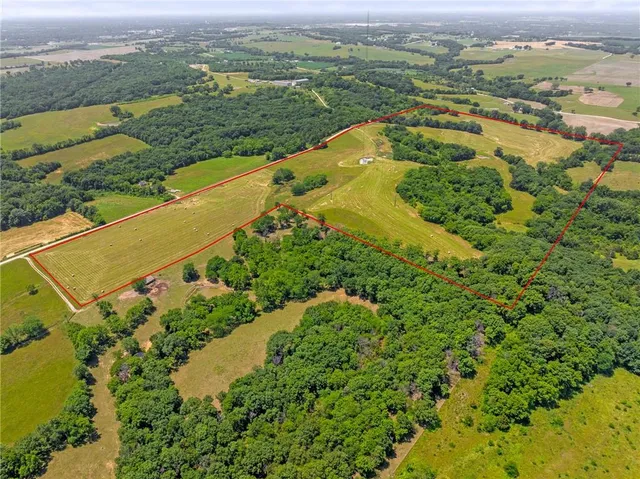 $750,000 | 81-ac Mt Hebron Road, Odessa, MO 64076