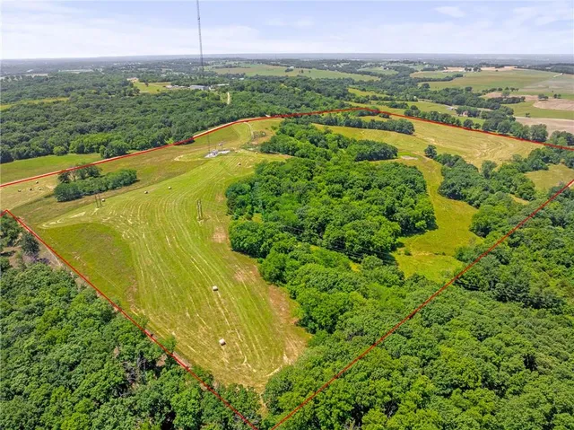 $750,000 | 81-ac Mt Hebron Road, Odessa, MO 64076